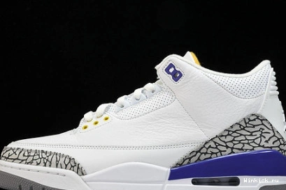 PE Kobe Bryant Jordan Retro 3 0813